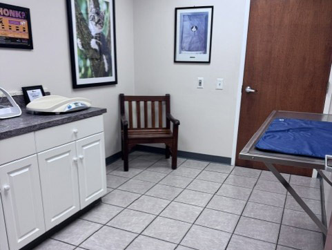 cat-exam-room-2 Cat exam room at Bethel Mill Animal Hospital