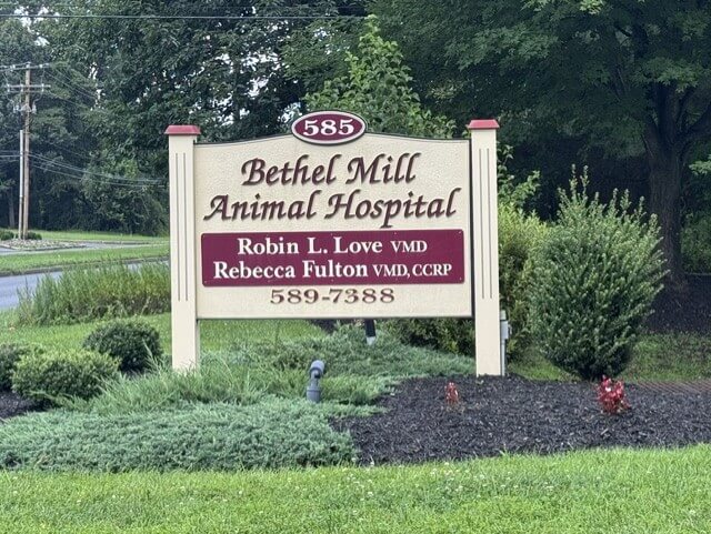 sign Bethel Mill Animal Hospital sign in front of building