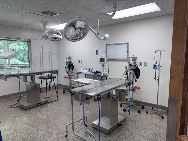 surgery Surgery suite at Bethel Mill Animal Hospital