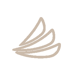 carecredit
